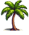 Palm tree