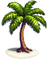 Palm tree